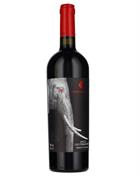 Piani Castellani Vino Rosso Di Uve Stramature Red Wine Italy 75 cl 18%